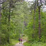In Near The 노르트베이크