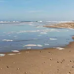 In Near The 샬레 노르트베이크