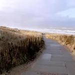 In Near The
