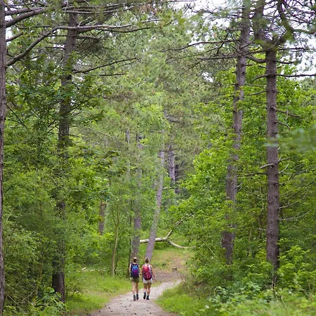 In Near The Noordwijk