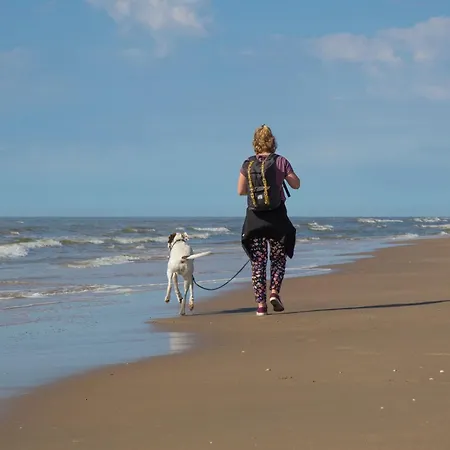 In Near The Horská chata