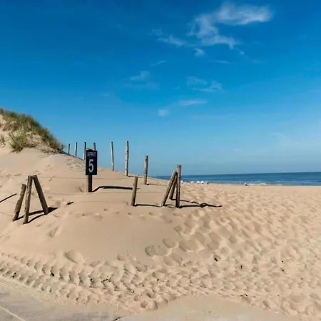 Chalé In Near The *