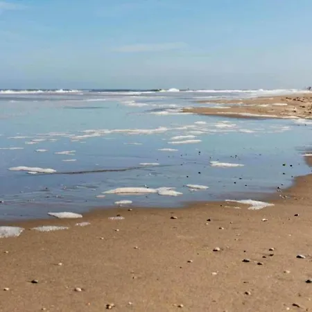 In Near The Chalé Noordwijk