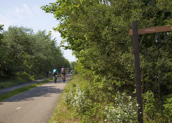 In Near The נורדוויק