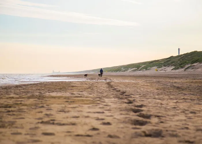 בקתה In Near The