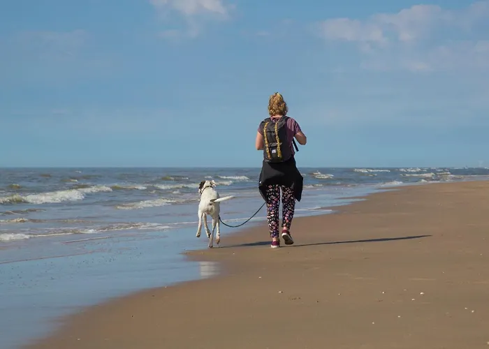 In Near The Domek alpejski