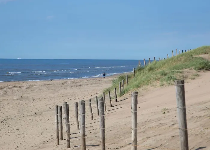 In Near The نوردفيك