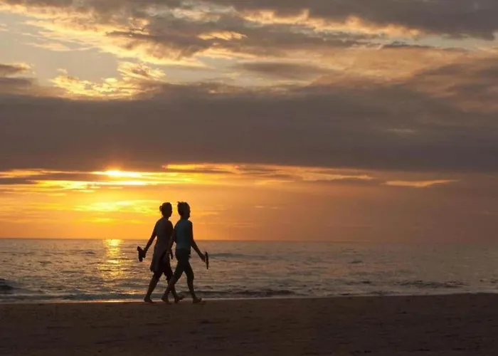 In Near The בקתה נורדוויק