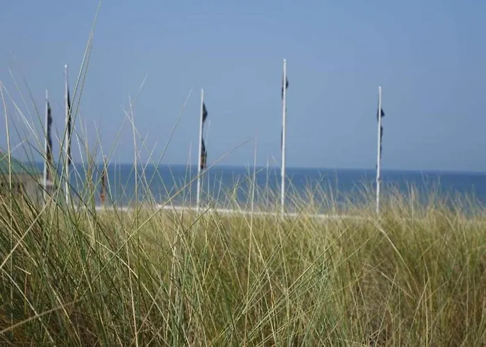 Chalé In Near The Noordwijk