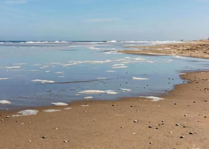 In Near The شاليه نوردفيك